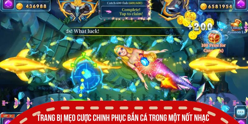 ban ca trang bi meo cuoc hieu qua