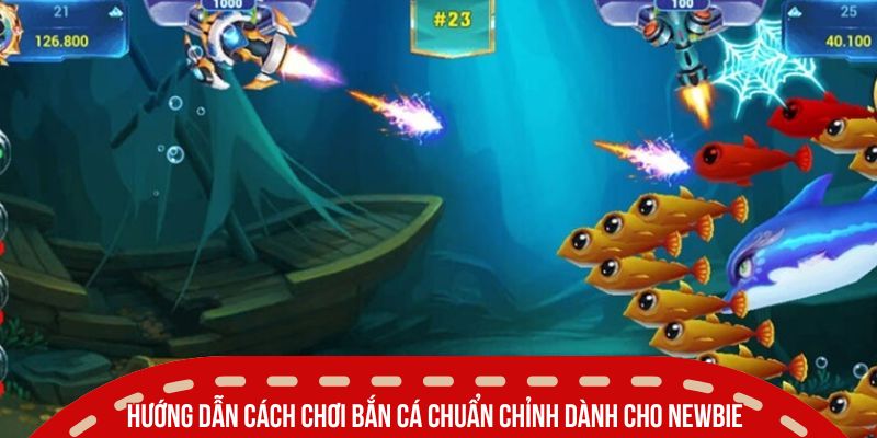 cach choi ban ca chuan chinh cho newbie